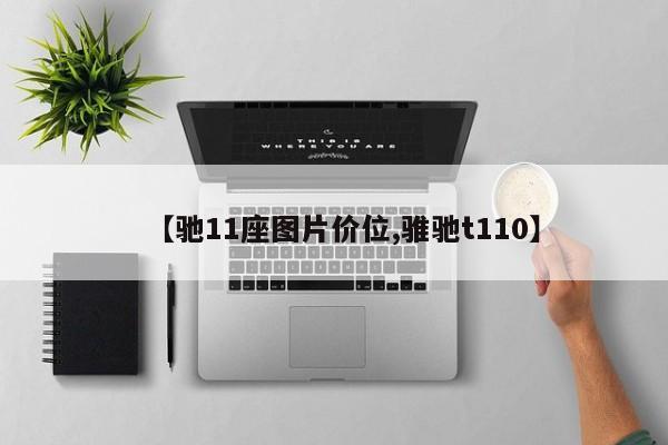 【驰11座图片价位,骓驰t110】